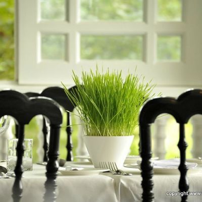 Antonio's Restaurant
