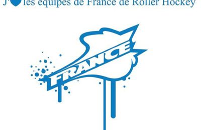 CHAMPIONNAT DU MONDE DE ROLLER HOCKEY A TOULOUSE 29 juin au 13 juillet 2014