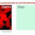 De l'impact d'une promiscuité subie sur notre état émotionnel / Fleur de Bach : Cherry Plum