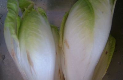 Velouté d'endives