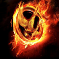 Ma Chronique du film Hunger Games!