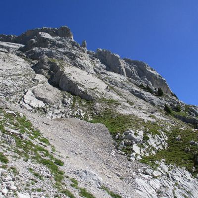 Grande voie - Demoiselles du Grand BO