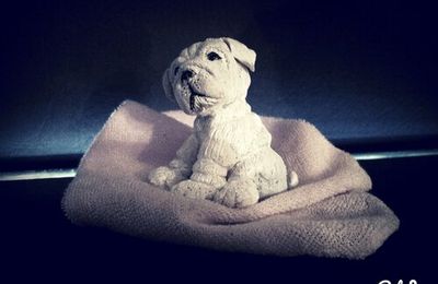 Ooak baby bulldog anglais