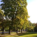 Belle balade automnale à Djurgården et découverte du parc de Waldemarsudde 