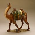 Funerary Sculpture of a Bactrian Camel, middle Tang dynasty, about 700-800