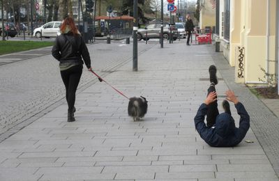 Choses vues à Rennes le 1er février 2025 
