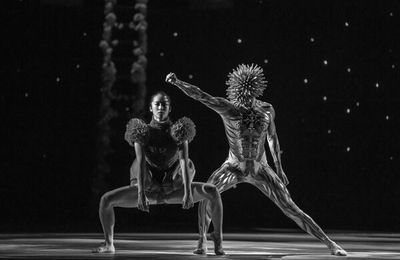 NUTCRACKER by Verbruggen and couture designers ON AURA TOUT VU Grand Théâtre de Geneve