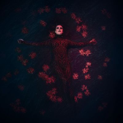 Lyric Noel met les tripes sur la table avec “Blood in the Water”