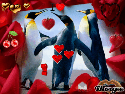 Un amour de pingouin