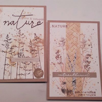 Challenge d'ocotbre - Cartoscrap