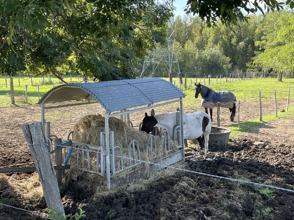 Lundi 06 octobre 2025 ma rando du mercredi 01 oct 2025  : L’“île de Mirefleurs” est une ancienne carrière réaménagée en plan d’eau, proche de la rivière Allier, à Mirefleurs dans le Puy‑de‑Dôme (63 ) Mon diapo au fil de mes pas 