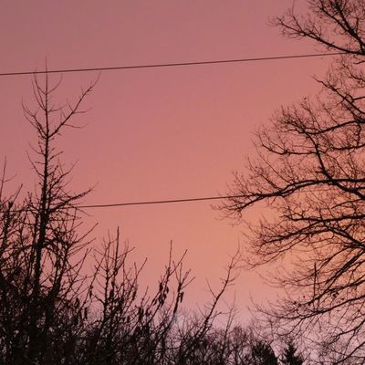 Photos du dimanche !