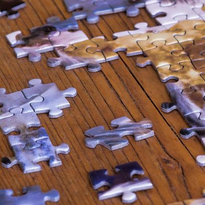 L'expérience en renfort