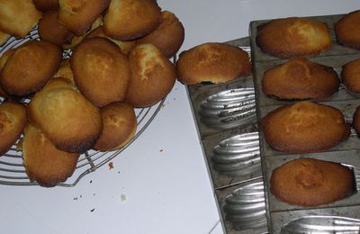 Les madeleines