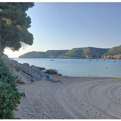 Les Vacances 2025 : Le Footing à Montgò