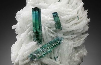 Tourmaline on Cleavelandite, Brazil