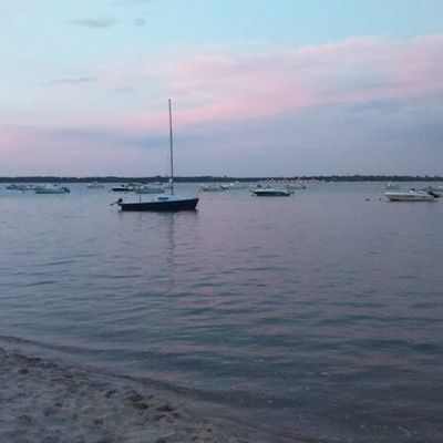 Un peu de nouvelles...