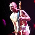 Flea