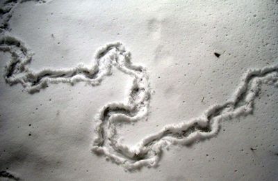 Traces