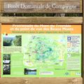 FORET DE COMPIEGNE