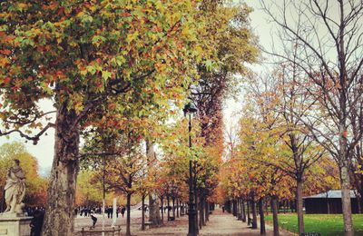 Légendes d'automne