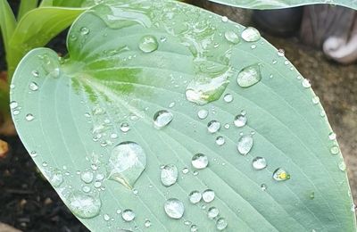 Photos du Dimanche !