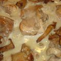 Blanquette de lapin aux girolles