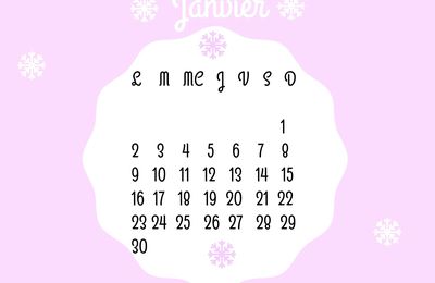 Calendrier Janvier 2017