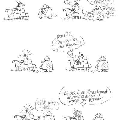 #Pigeons2
