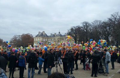 Marche des Maladies Rares Décembre 2013