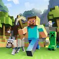 Minecraft : Reportage et critique