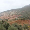 morocco #5 vers les montagnes et aux portes du désert