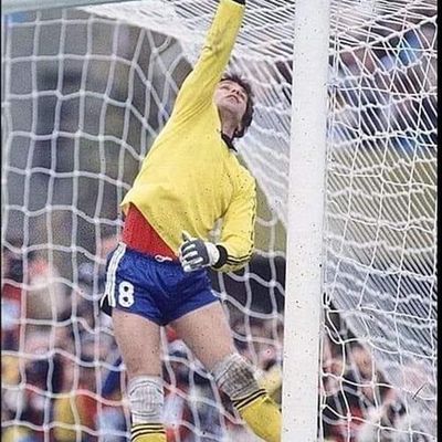 VENTEX Adidas goal Keeper