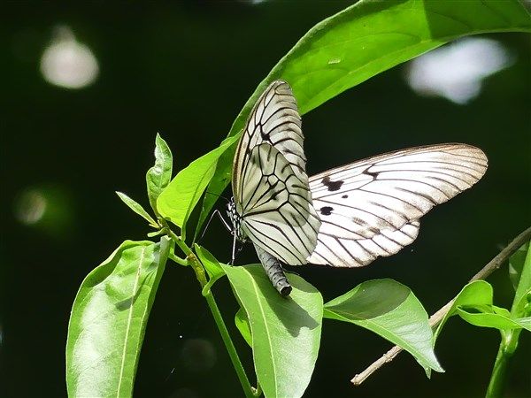 P1300041