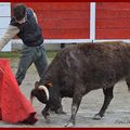 A Caveirac, AG et tentadero du Cercle Taurin Campuzano avec Christian Parejo…