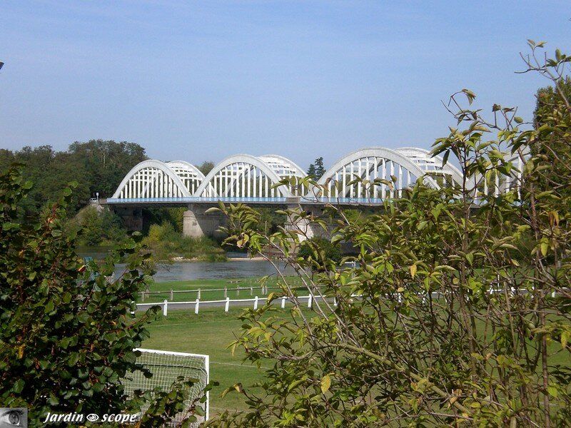 Le Pont de Muides-sur-Loire (41)