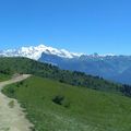 La Bourgeoise et Joux Plane - 17 juillet 2016