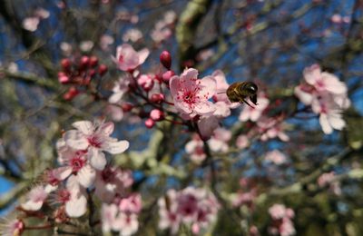 Un printemps mouillé