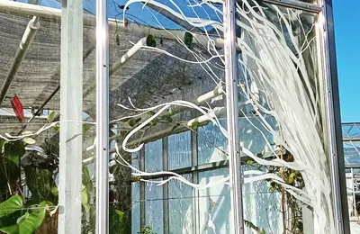 Jardin des plantes 