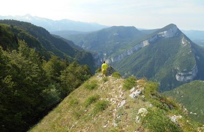 Grande voie "Erudit des Rudistes" - Vercors