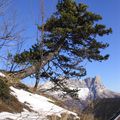 Pas de Serre Brion (Vercors)