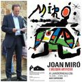 Miro à Landerneau (29)