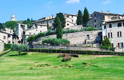 ASSISI !