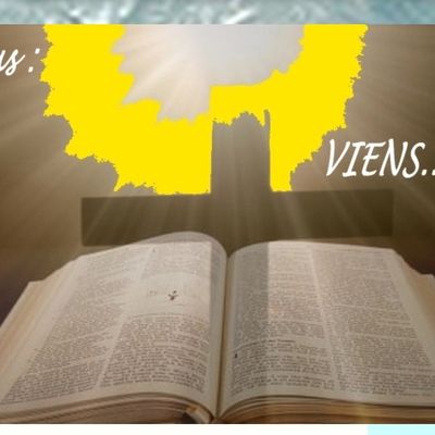 Le prêtre préféré des protestants - La vie incroyable de Martin Luther | Robbie Bellis  - [TPSG]