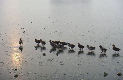 A propos de la pluie et du beau temps...