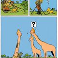 Girafin et les Tintinafes - 27 novembre 2021