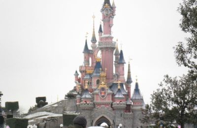 Disneyland ! Qu'est-ce qu'on pourrais faire ?