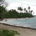 Guadeloupe : J1 Grande Terre De Gosier à la Pointe des Chateaux