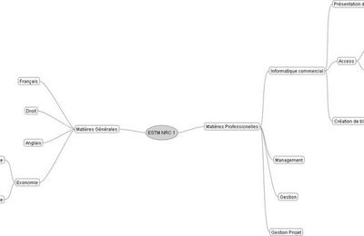 Carte heuristique BTS NRC