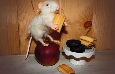 Une petite souris : Blanchette